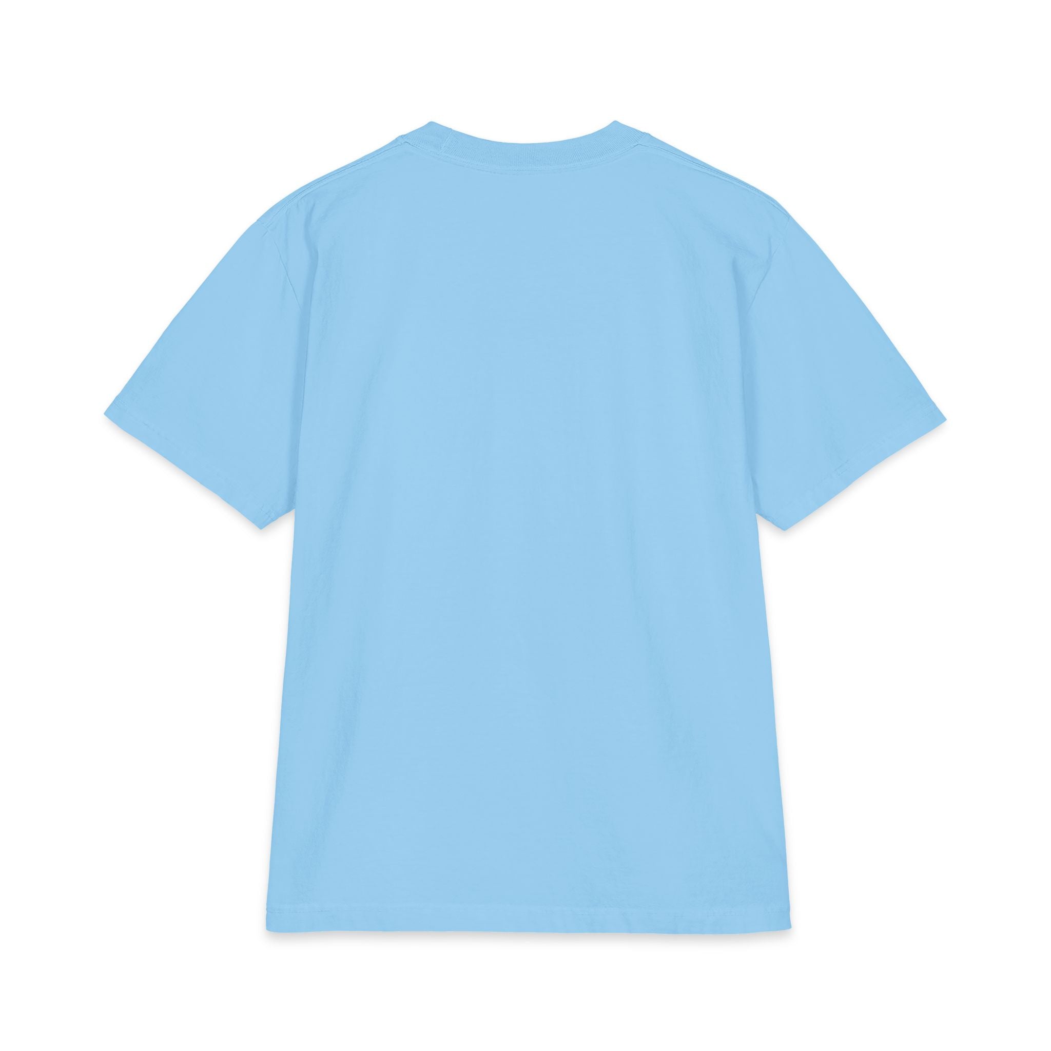 2026 World Cup Soccer T-Shirt — "Olé Olé" Colorful Football Design