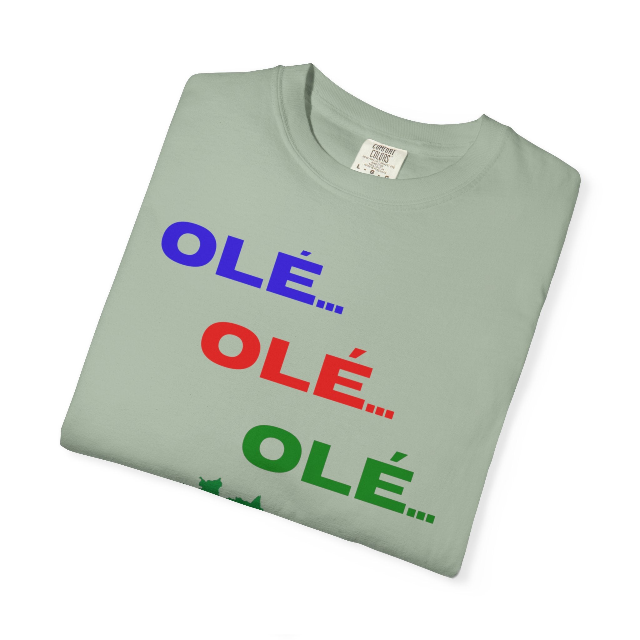 Brazil Olé World Cup 2026 T-Shirt — Brazil Flag Map Soccer Fan Tee