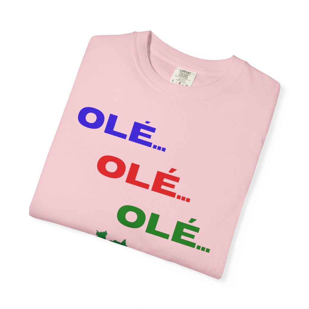 Brazil Olé World Cup 2026 T-Shirt — Brazil Flag Map Soccer Fan Tee