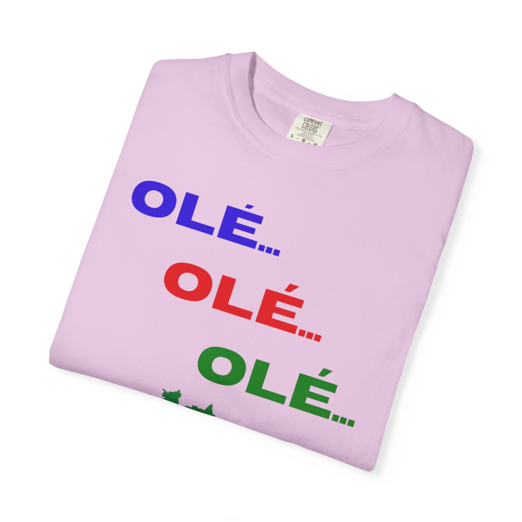Brazil Olé World Cup 2026 T-Shirt — Brazil Flag Map Soccer Fan Tee