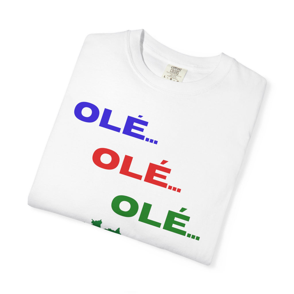 Brazil Olé World Cup 2026 T-Shirt — Brazil Flag Map Soccer Fan Tee