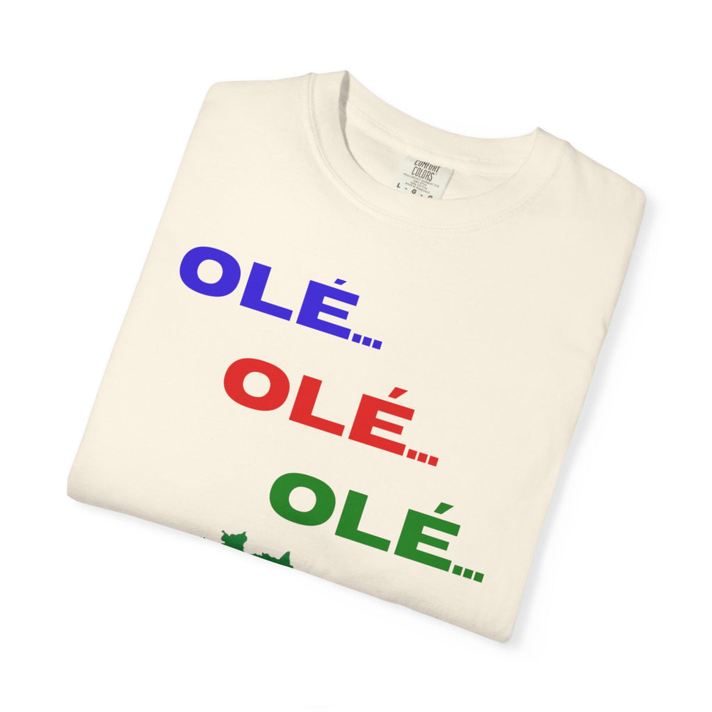 Brazil Olé World Cup 2026 T-Shirt — Brazil Flag Map Soccer Fan Tee