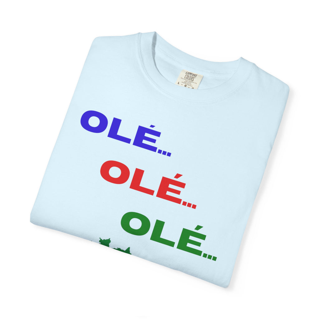 Brazil Olé World Cup 2026 T-Shirt — Brazil Flag Map Soccer Fan Tee