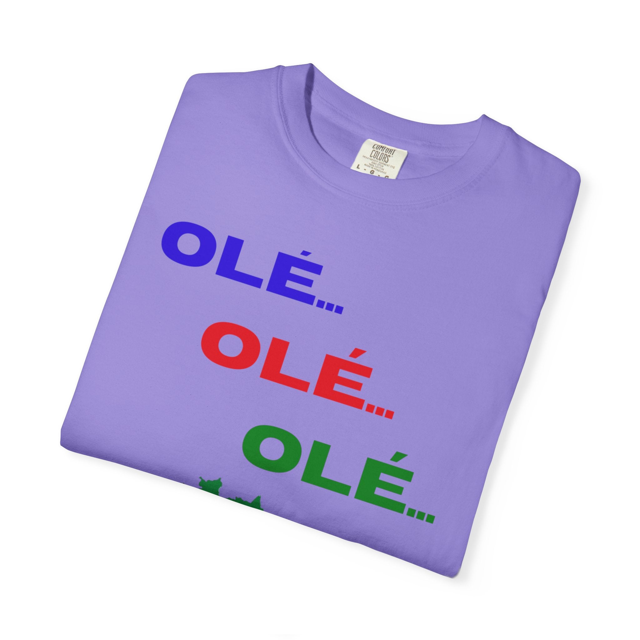 Brazil Olé World Cup 2026 T-Shirt — Brazil Flag Map Soccer Fan Tee